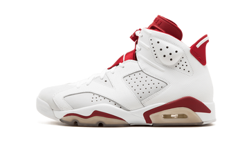 Jordan 6 Retro "Alternate"