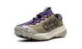 ACG Mountain Fly 2 Low