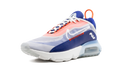 AIR MAX 2090 WMNS 