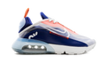 AIR MAX 2090 WMNS 
