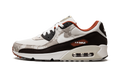 AIR MAX 90 SE 