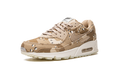 AIR MAX 90 WMNS 