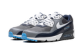 Air Max 90 Gore-Tex 