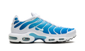 Air Max Plus 