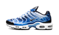 Air Max Plus 