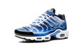 Air Max Plus 