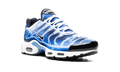 Air Max Plus 