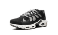 Air Max Plus Terrascape 