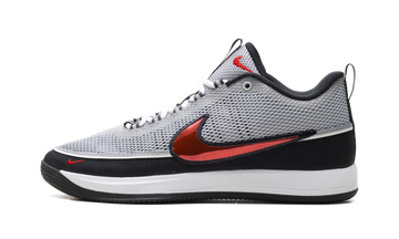Book 2 "Air Zoom Spiridon – Metallic"