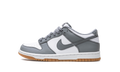 Dunk Low GS 