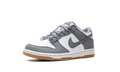 Dunk Low GS 