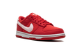 Dunk Low GS 