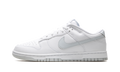 Dunk Low Retro 