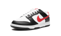 Dunk Low Retro 