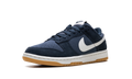 Dunk Low Retro SE 