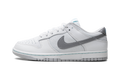 Dunk Low SE 