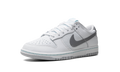 Dunk Low SE 