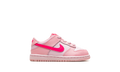 Dunk Low (TDE) 