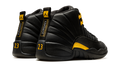 Air Jordan 12 Retro 