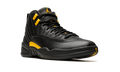 Air Jordan 12 Retro 