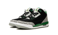 Air Jordan 3 Retro GS 