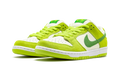 SB Dunk Low Pro 