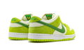 SB Dunk Low Pro 