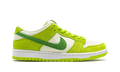 SB Dunk Low Pro 