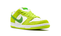 SB Dunk Low Pro 