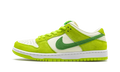 SB Dunk Low Pro 