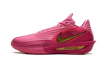 Zoom GT