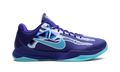 Zoom Kobe 5 Protro 