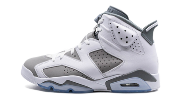 Jordan 6 "Cool Grey"