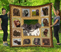 American Water Spaniel Dog Quilt Blanket Amazing Dog Lover-Gear Wanta