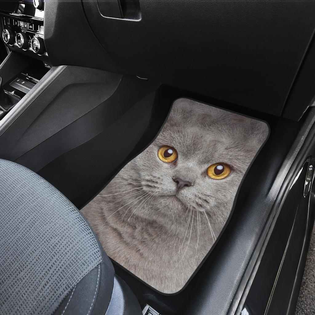 British Shorthair Cat Car Floor Mats Funny Cat Face-Gear Wanta