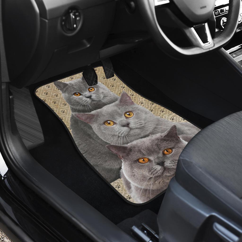 British Shorthair Cat Car Floor Mats Funny For Cat Lover-Gear Wanta
