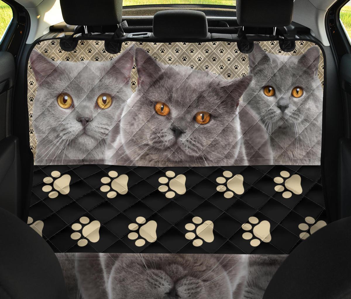British Shorthair Cat Pet Seat Cover For Car Cat Lover-Gear Wanta