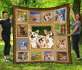 Corgi Dog Quilt Blanket Amazing For Who Love Dog-Gear Wanta