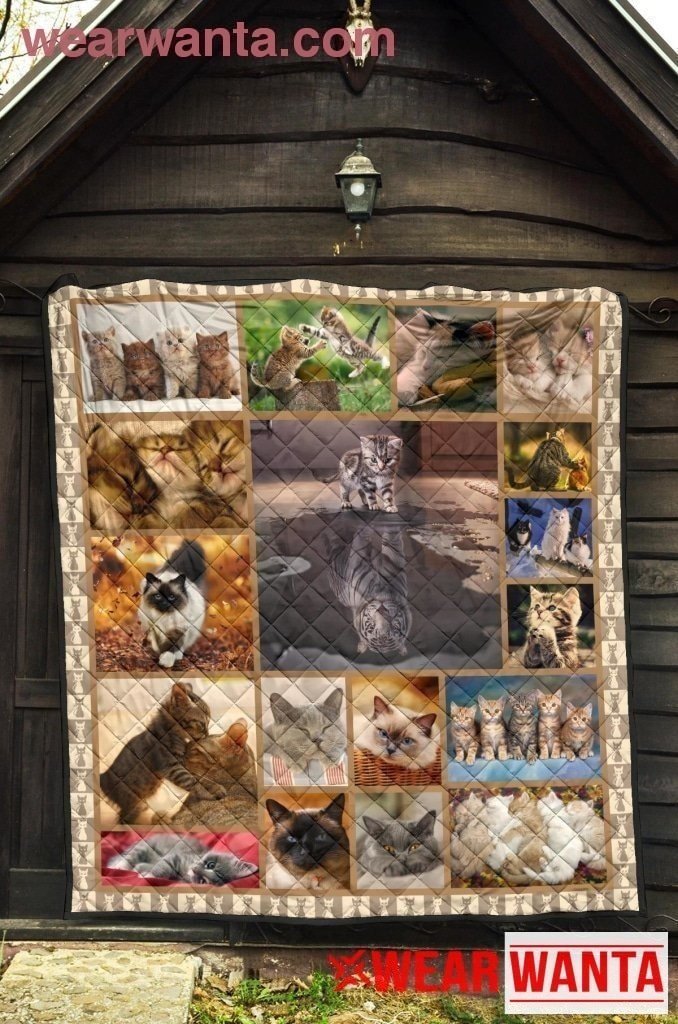 Cute Cats Quilt Blanket For Cat Lover-Gear Wanta