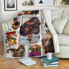 Cute Dachshunds Frame Fleece Blanket Dog-Gear Wanta
