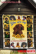 Dachshund You Are My Sunshine Sunflower Blanket For Dog Lover-Gear Wanta