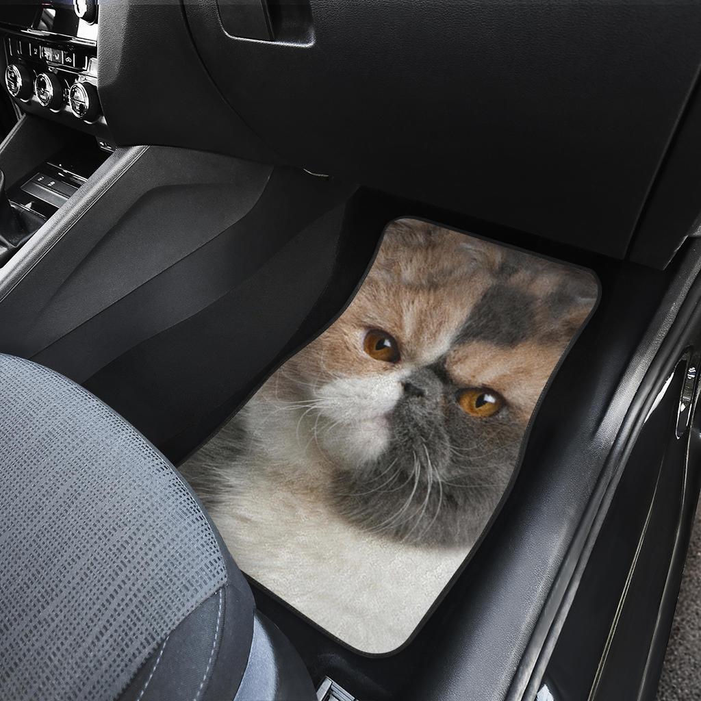 Exotic Cat Car Floor Mats Funny Cat Lover-Gear Wanta