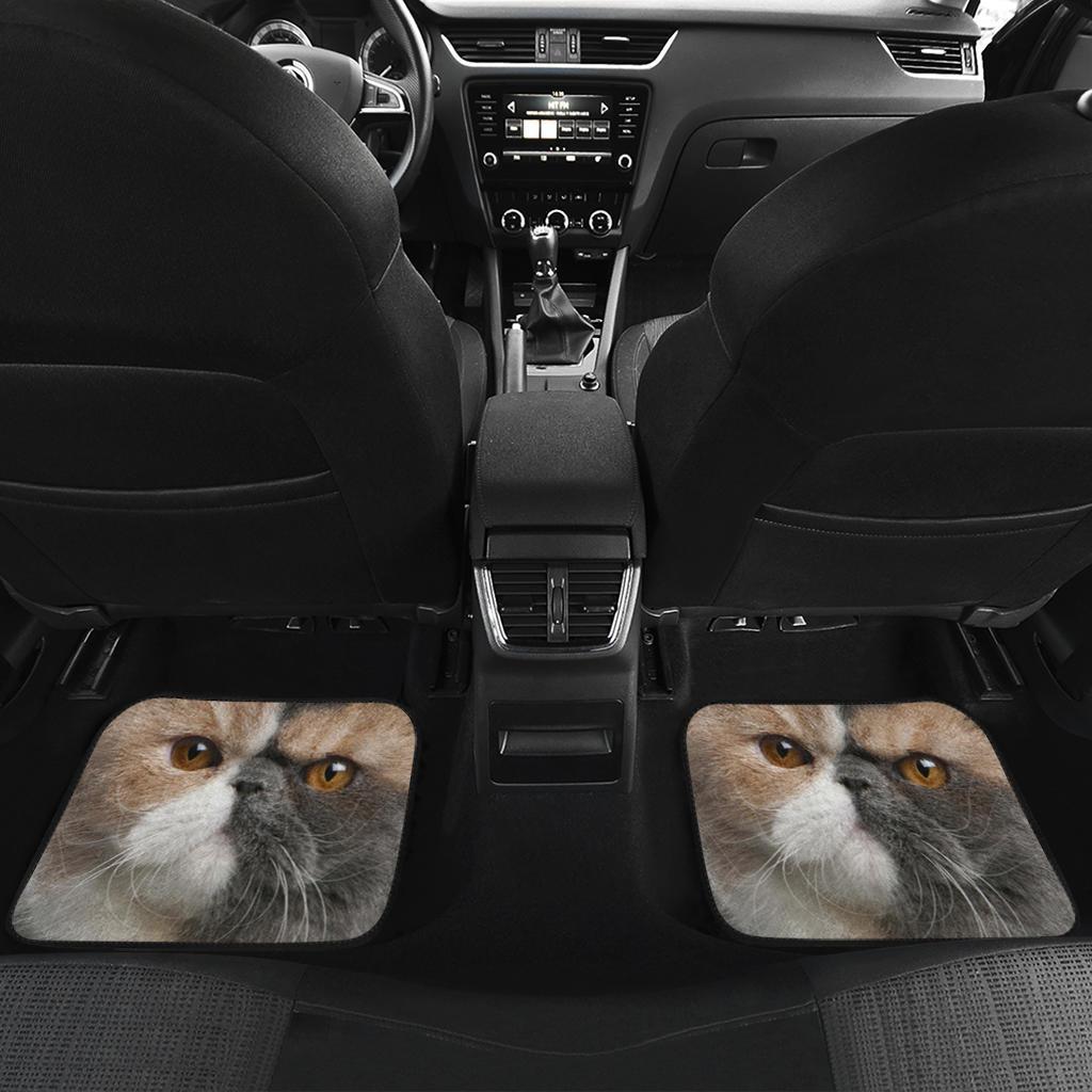 Exotic Cat Car Floor Mats Funny Cat Lover-Gear Wanta