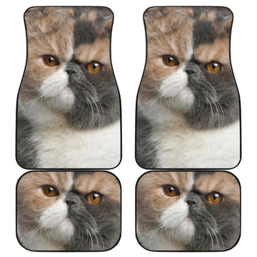 Exotic Cat Car Floor Mats Funny Cat Lover-Gear Wanta