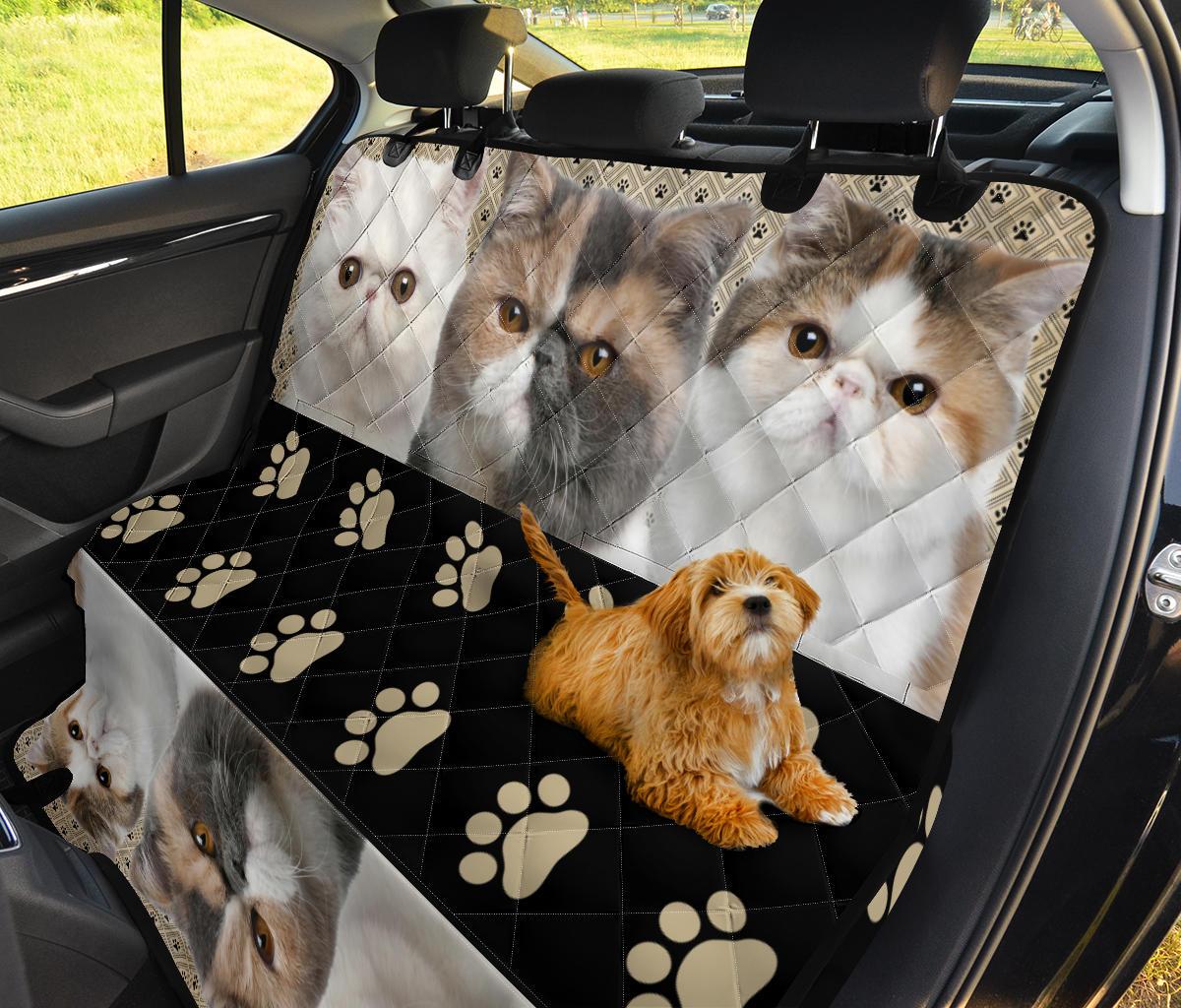 Exotic Cat Pet Seat Cover For Car Cat Lover-Gear Wanta