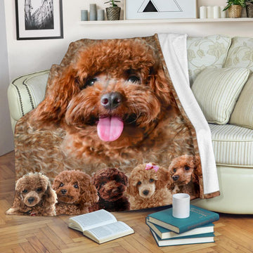 Funny Face Poodle Fleece Blanket Dog-Gear Wanta