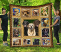 Labrador Dog Quilt Blanket Funny Blanket Dog-Gear Wanta