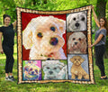 Maltipoo Dog Quilt Blanket Amazing-Gear Wanta