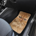 Persian Cat Car Floor Mats Funny Cat Face-Gear Wanta