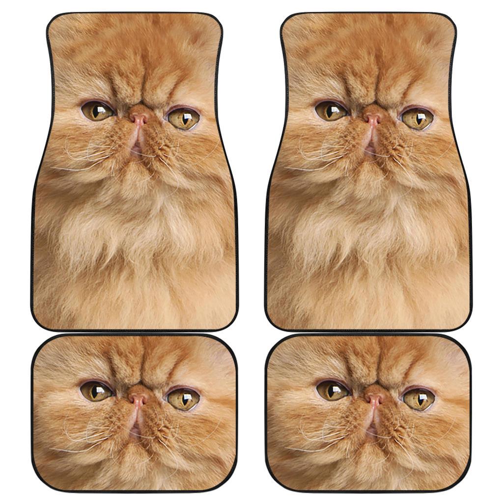 Persian Cat Car Floor Mats Funny Cat Face-Gear Wanta